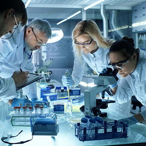 Lab